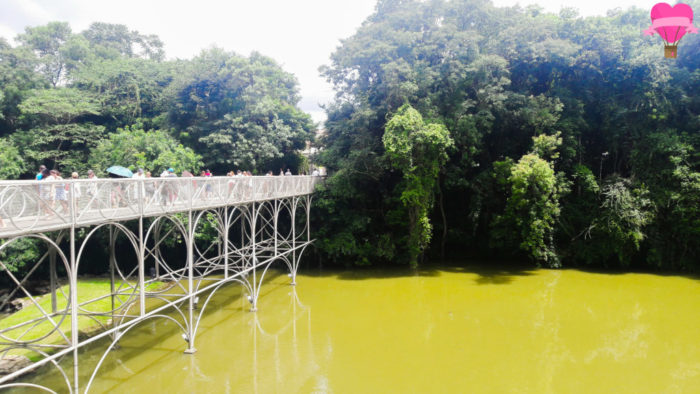 opera-de-arame-curitiba