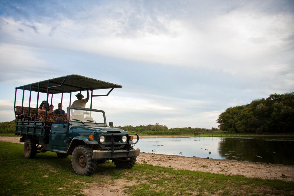 viagem-pantanal-dicas-blog-de-viagens