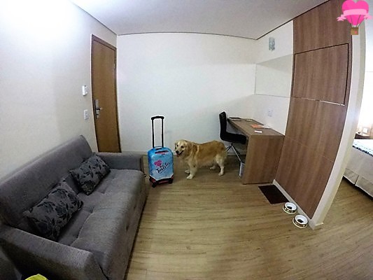amsterda-apart-hotel-montes-claros-pet-friendly-cachorro-viagem