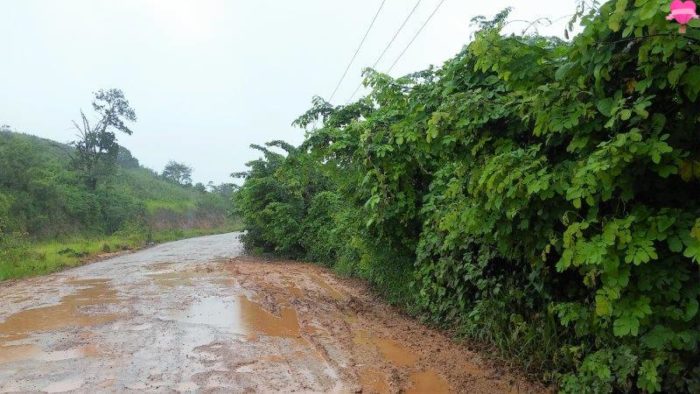 estrada-alagoas-maragogi-rodovia-pernambuco-litoral-nordeste