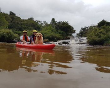 viagem-pet-friendly-cachorro-golden-retriever-caiaque-kaiak-socorro-sao-paulo