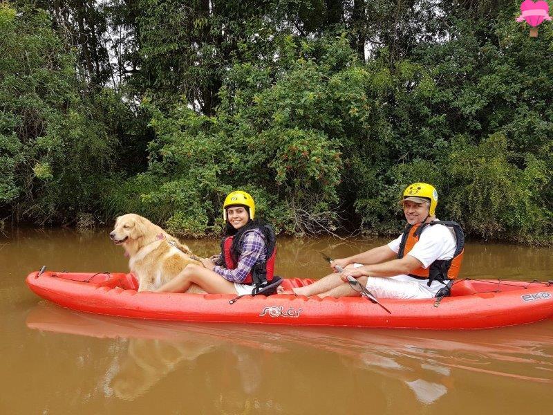 caiaque-kaiak-cachorro-pet-friendly-socorro-sao-paulo-aventura-golden-retriever-dicas-viagem-roteiros-4-patas
