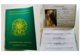 Como tirar o Passaporte brasileiro para cães e gatos? Passo a Passo