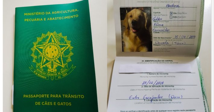 passaporte-cachorro-animal-viagem