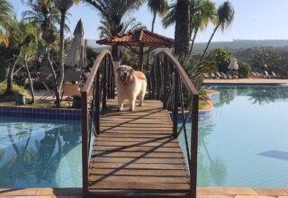 Hospedagem pet friendly em Capitólio – Hotel Obbá Coema Village