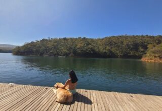 Passeio de lancha pet friendly pelo Lago de Furnas em Capitólio