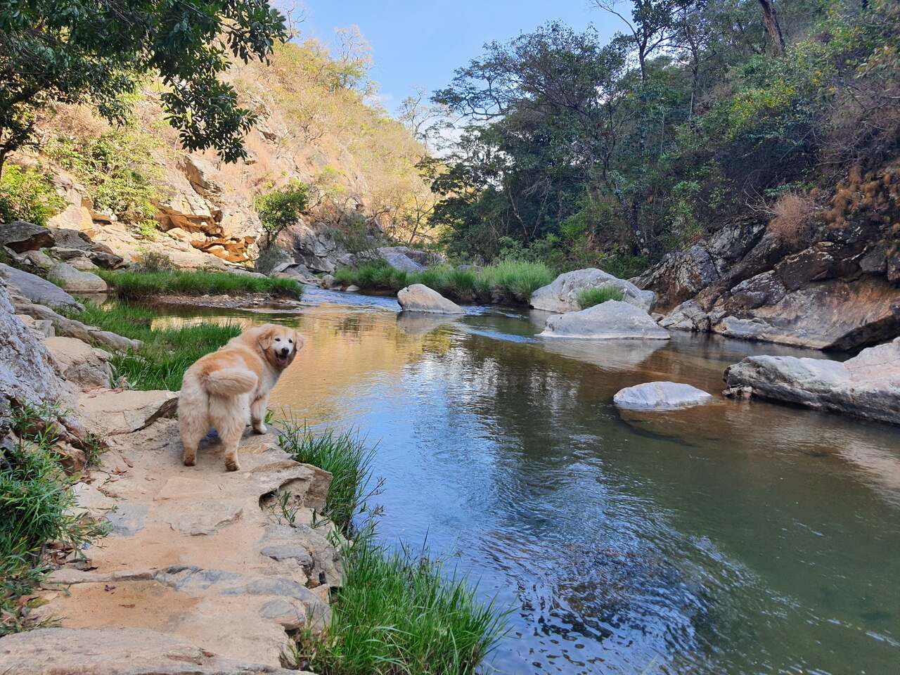 Vídeo mostra capivara se refrescando na praia de Santa Clara