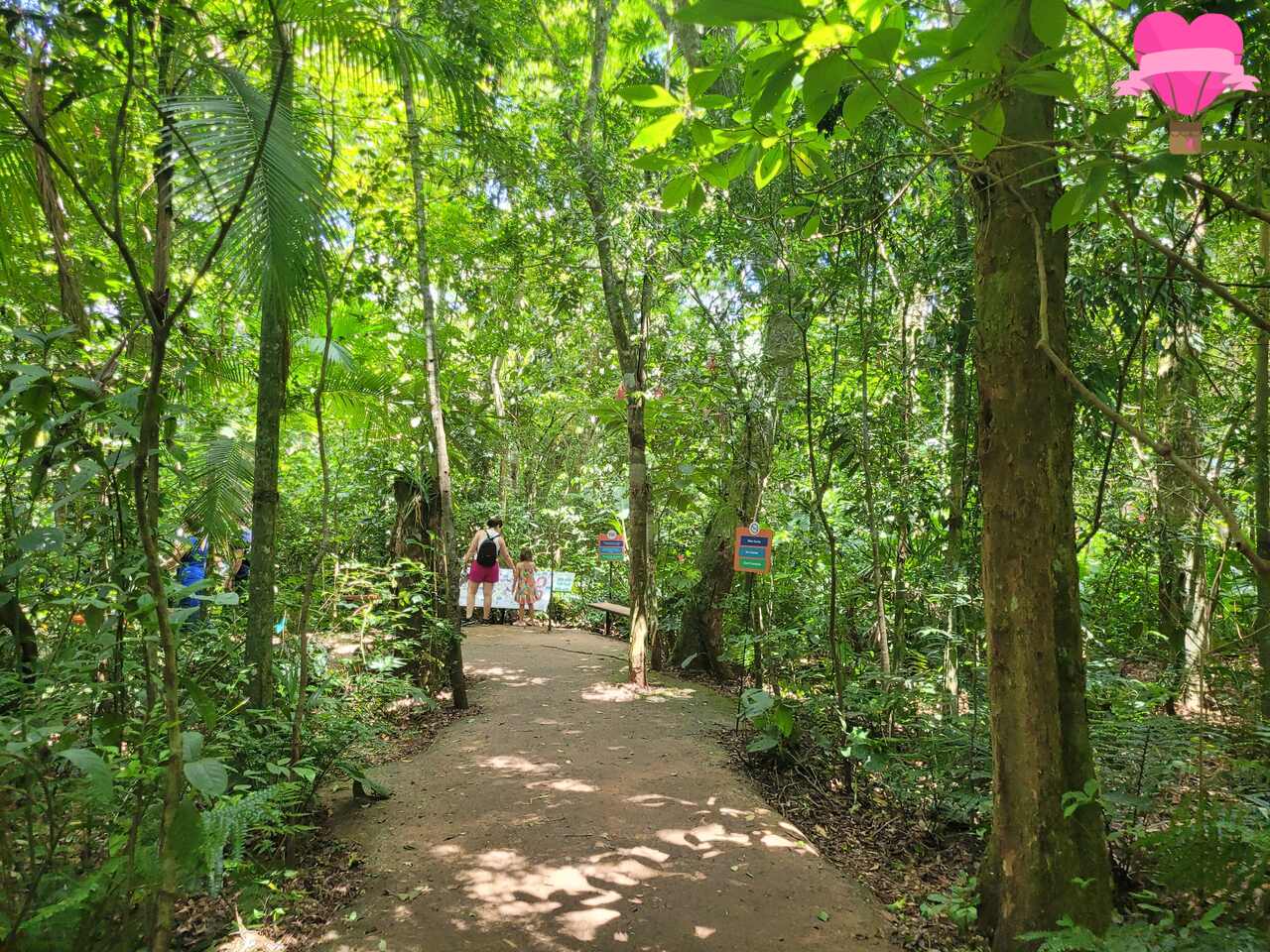 parque-das-aves-foz-iguacu
