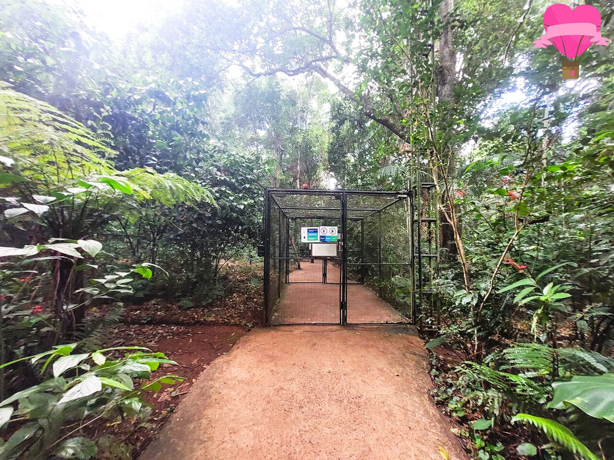 parque-das-aves-foz-iguacu