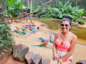 araras-parque-das-aves-foz-iguacu