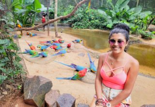 Parque das Aves: um passeio imperdível em Foz do Iguaçu