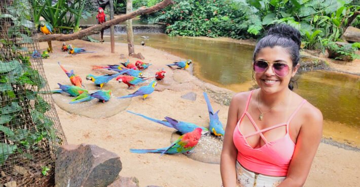 araras-parque-das-aves-foz-iguacu