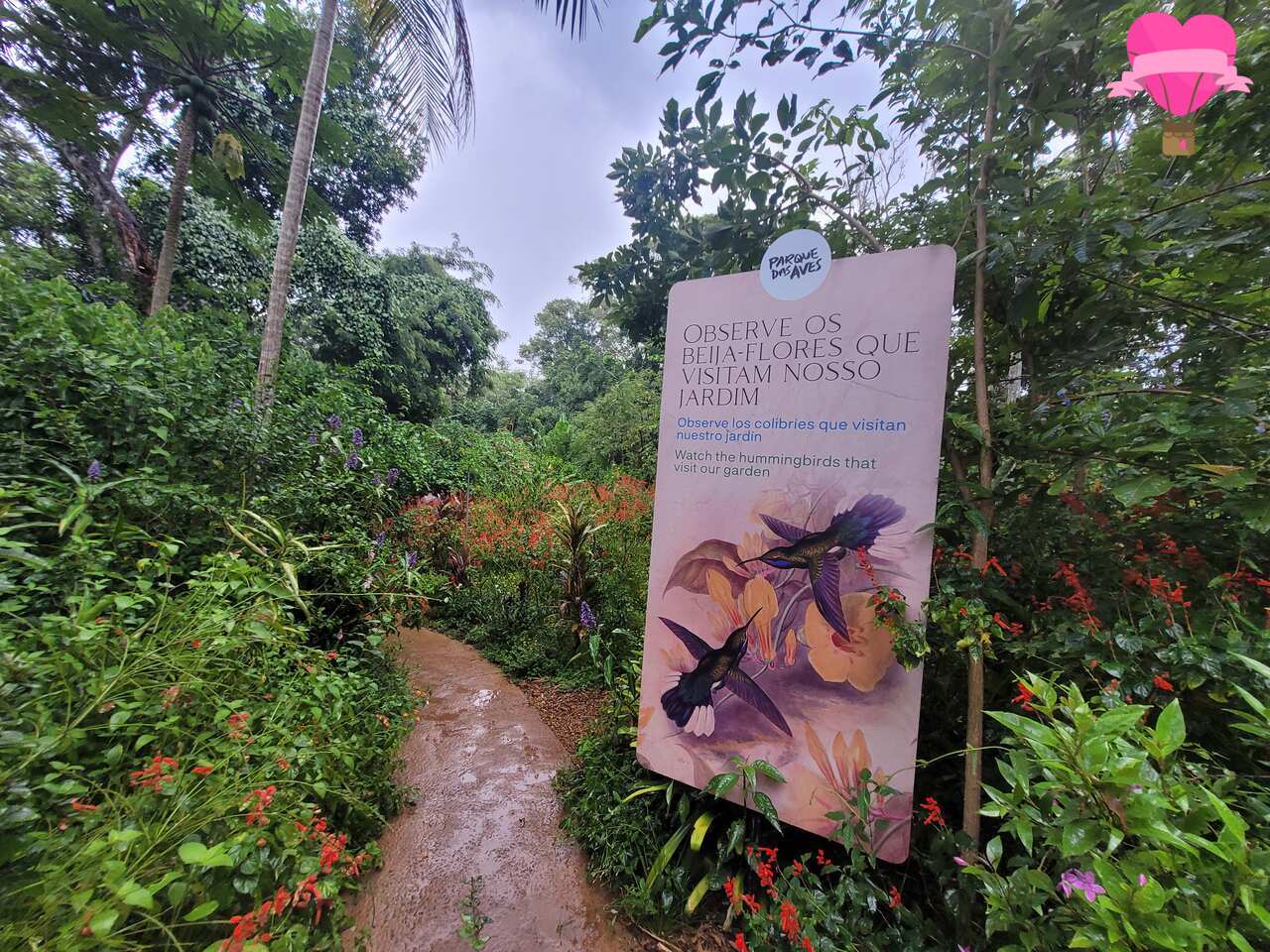 parque-das-aves-foz-iguacu