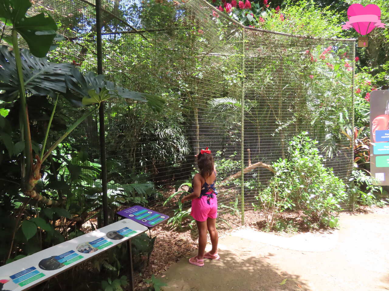 parque-das-aves-foz-iguacu