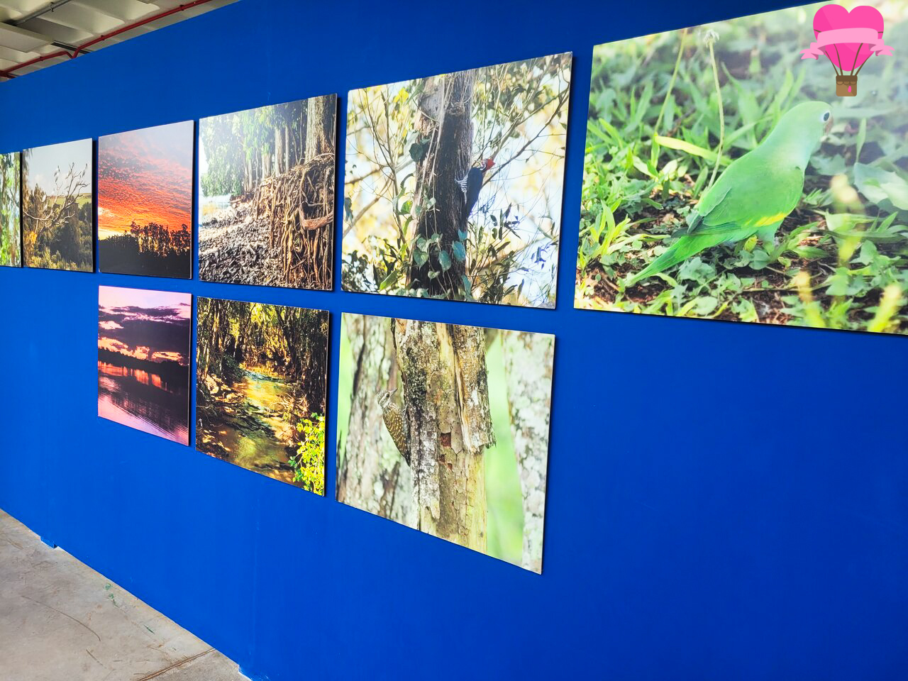 ecomuseu-itaipu-foz-iguacu